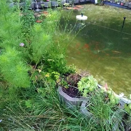 Land - Haus Pusterwald